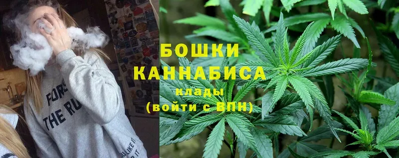 Конопля THC 21%  купить закладку  Мураши 